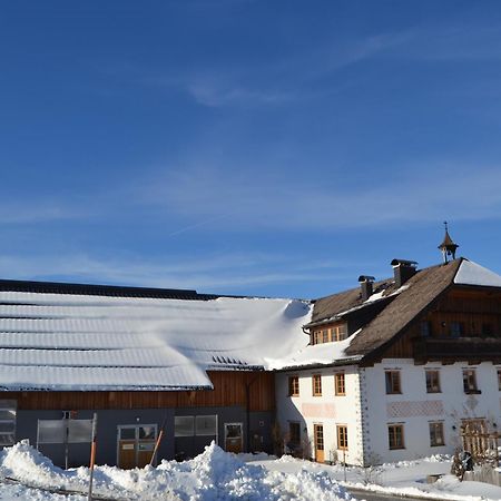 Apartmán Vorderreithbauer Hof bei Salzburg Exteriér fotografie