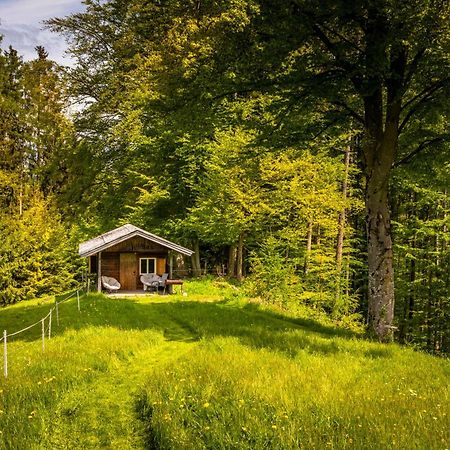 Apartmán Vorderreithbauer Hof bei Salzburg Exteriér fotografie