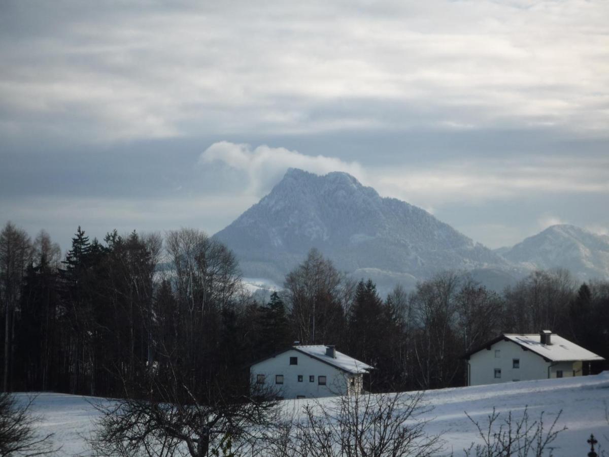 Apartmán Vorderreithbauer Hof bei Salzburg Exteriér fotografie